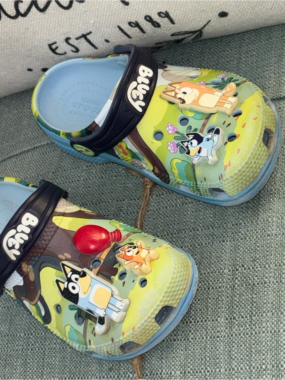 CROCS fun cartoon